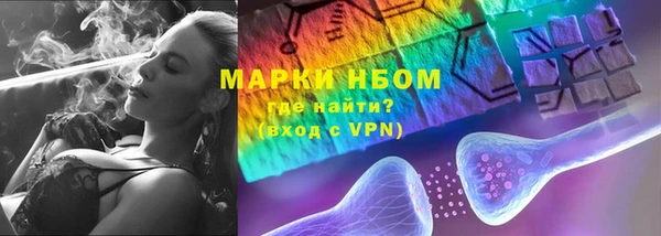 прущие грибы Волосово