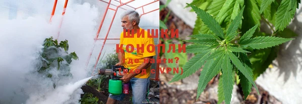 прущие грибы Волосово