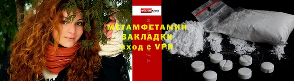 прущие грибы Волосово