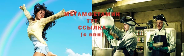 прущие грибы Волосово