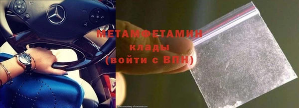 прущие грибы Волосово