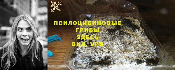 прущие грибы Волосово