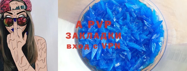 прущие грибы Волосово