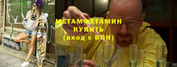 прущие грибы Волосово